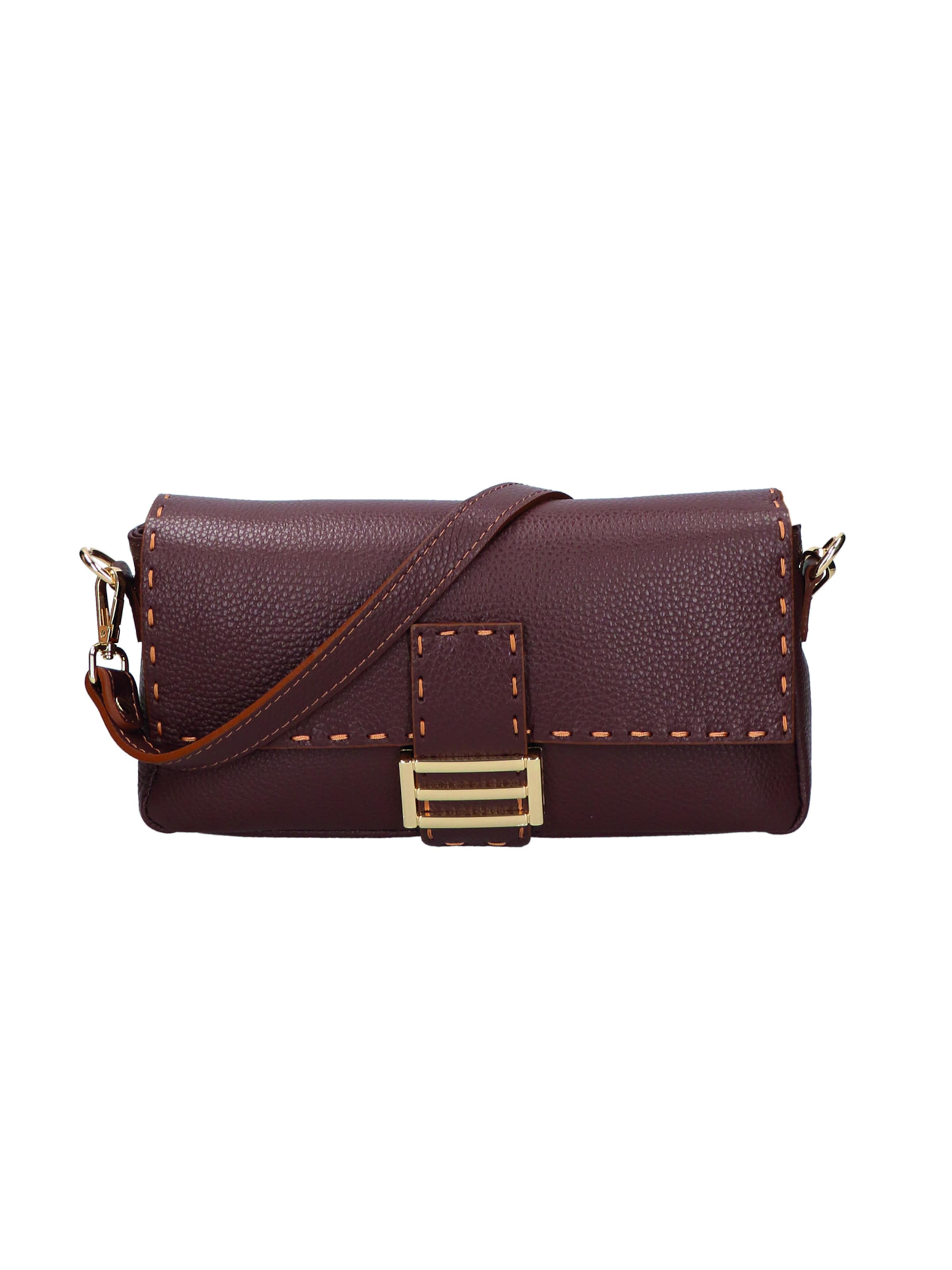 Gave Lux Shoulder Bag in Brown: front