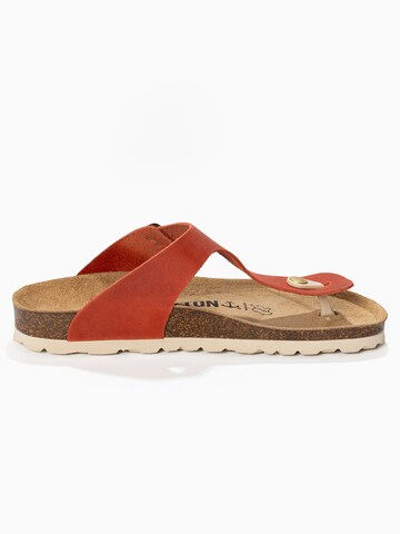 Tongs 'MERCURE' Bayton en orange