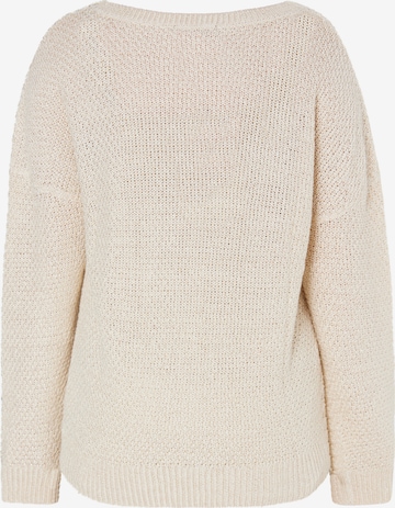 Pullover di usha BLACK LABEL in beige