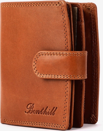 Benthill Wallet in Brown: front