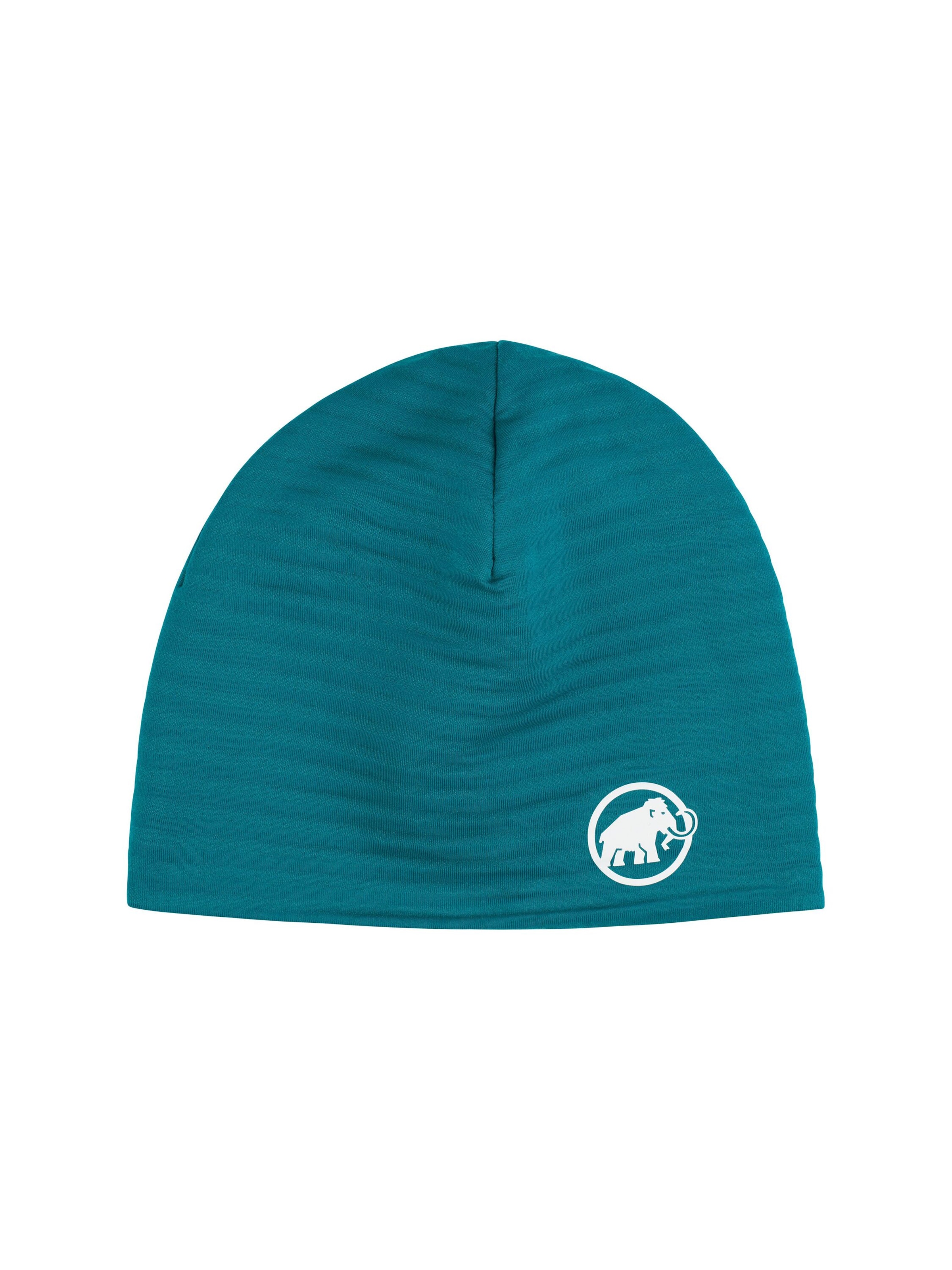MAMMUT Beanie in Green: front