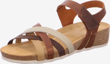 BRAKO Sandals in Beige: front