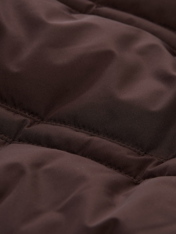 TOM TAILOR Winter jacket in Brown