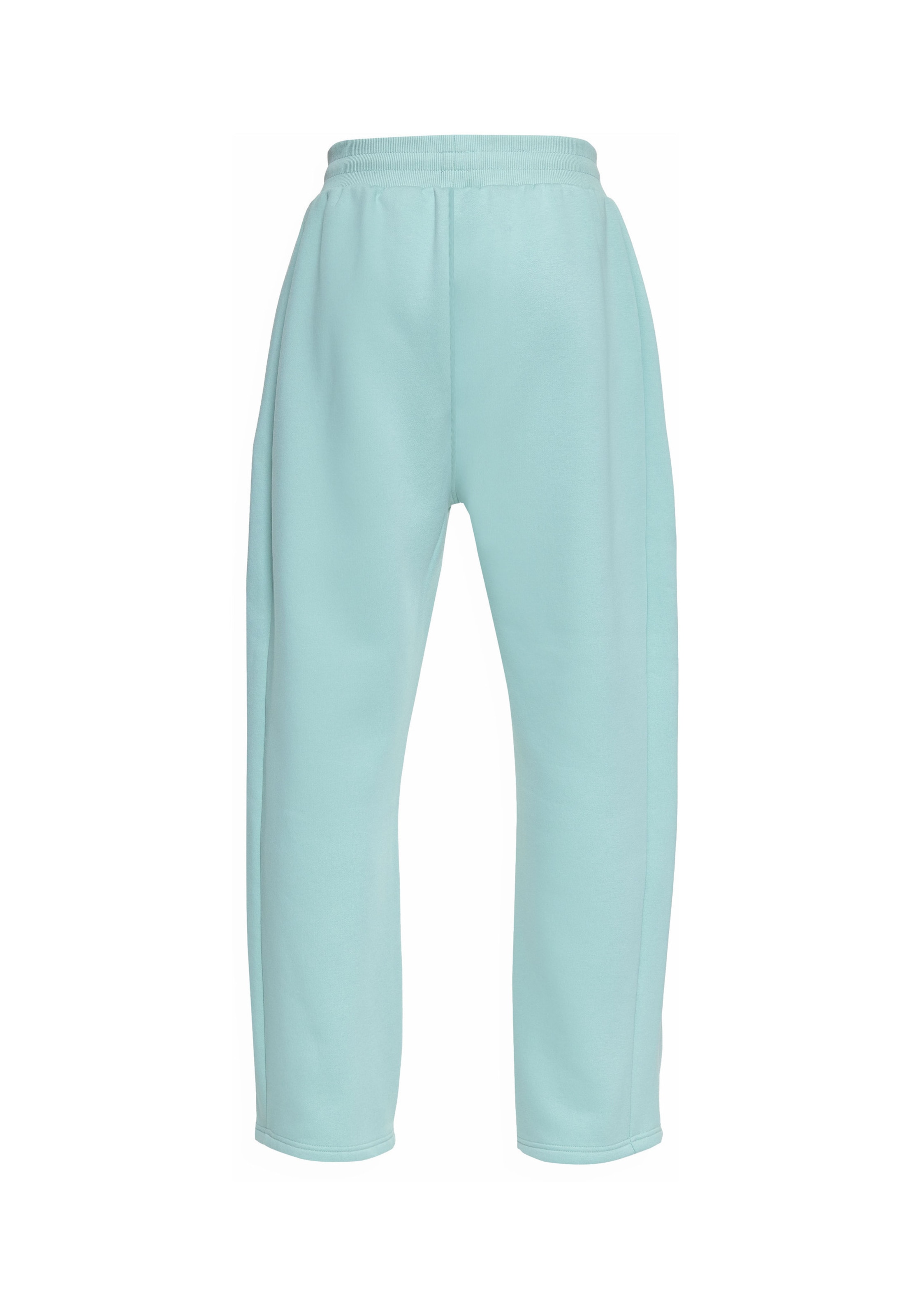 Dropsize Regular Broek in Blauw