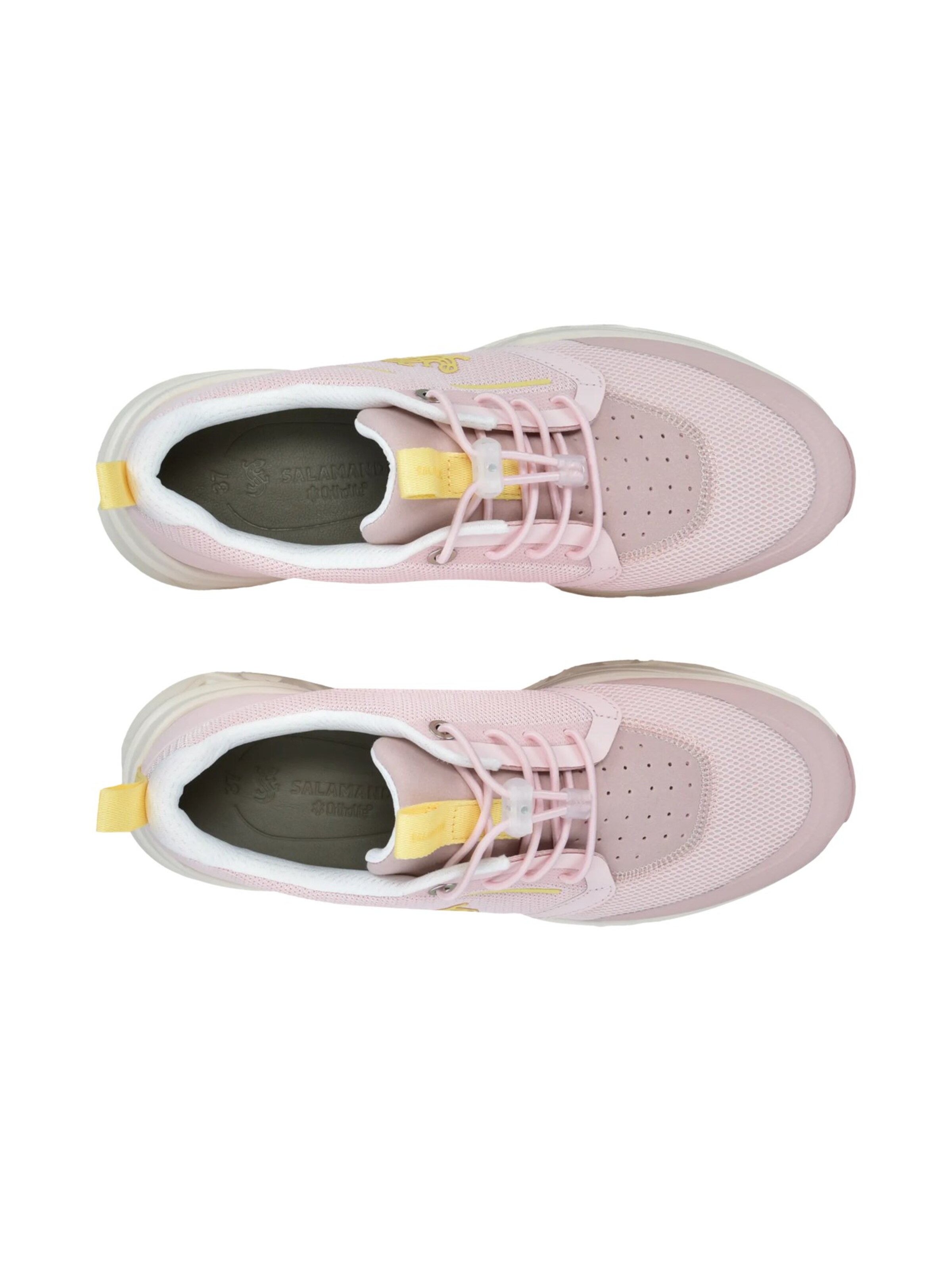SALAMANDER Platform trainers in Pink