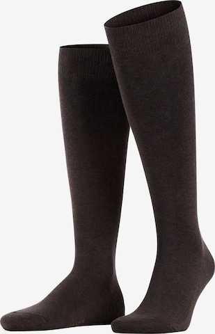 FALKE Knee High Socks 'Family' in Brown: front