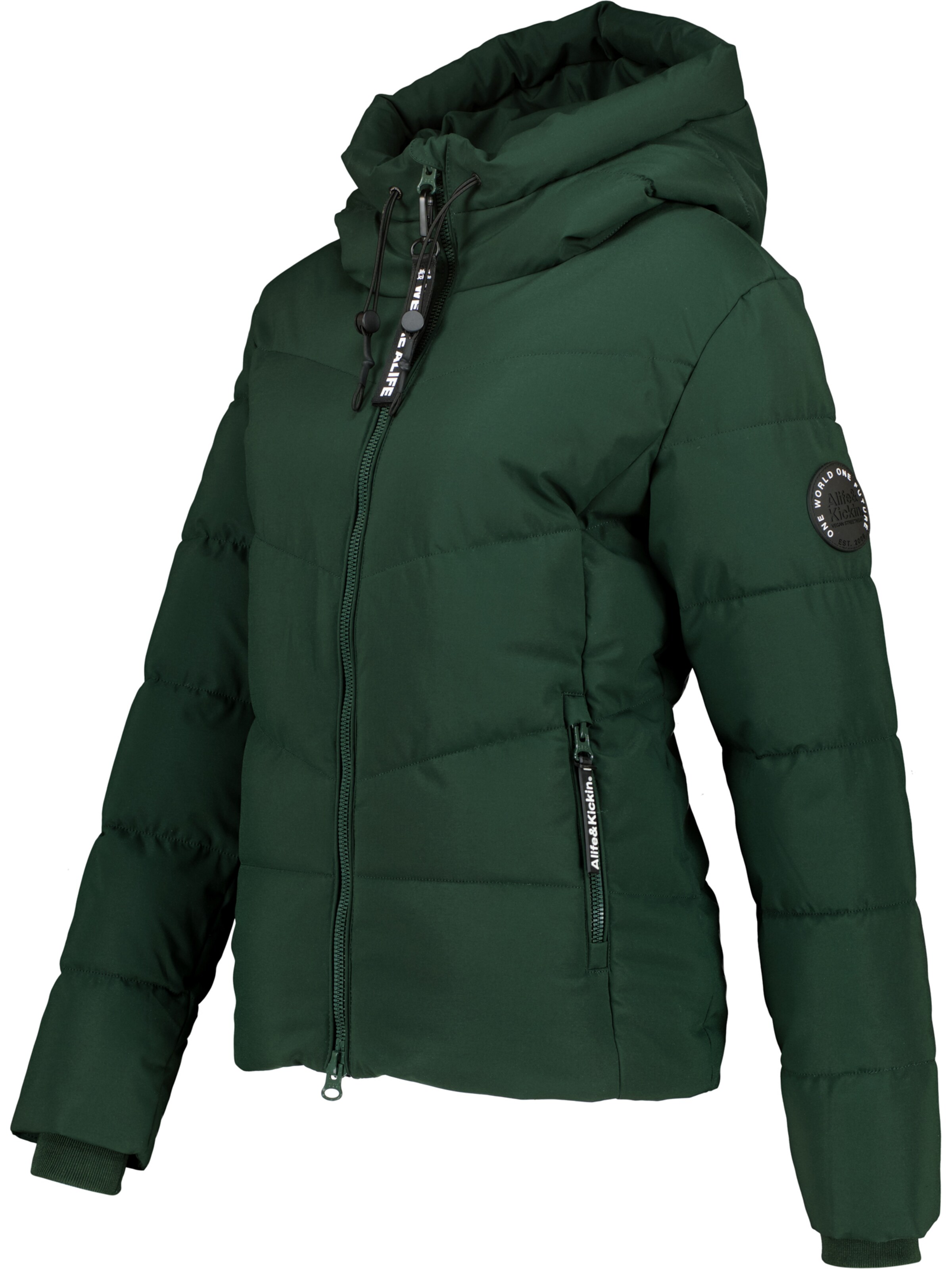 alife & kickin Winter jacket in Green