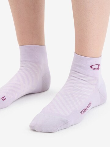 ICEBREAKER Athletic Socks in Grey