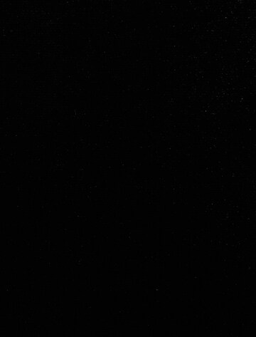 Koton Kleid in Schwarz