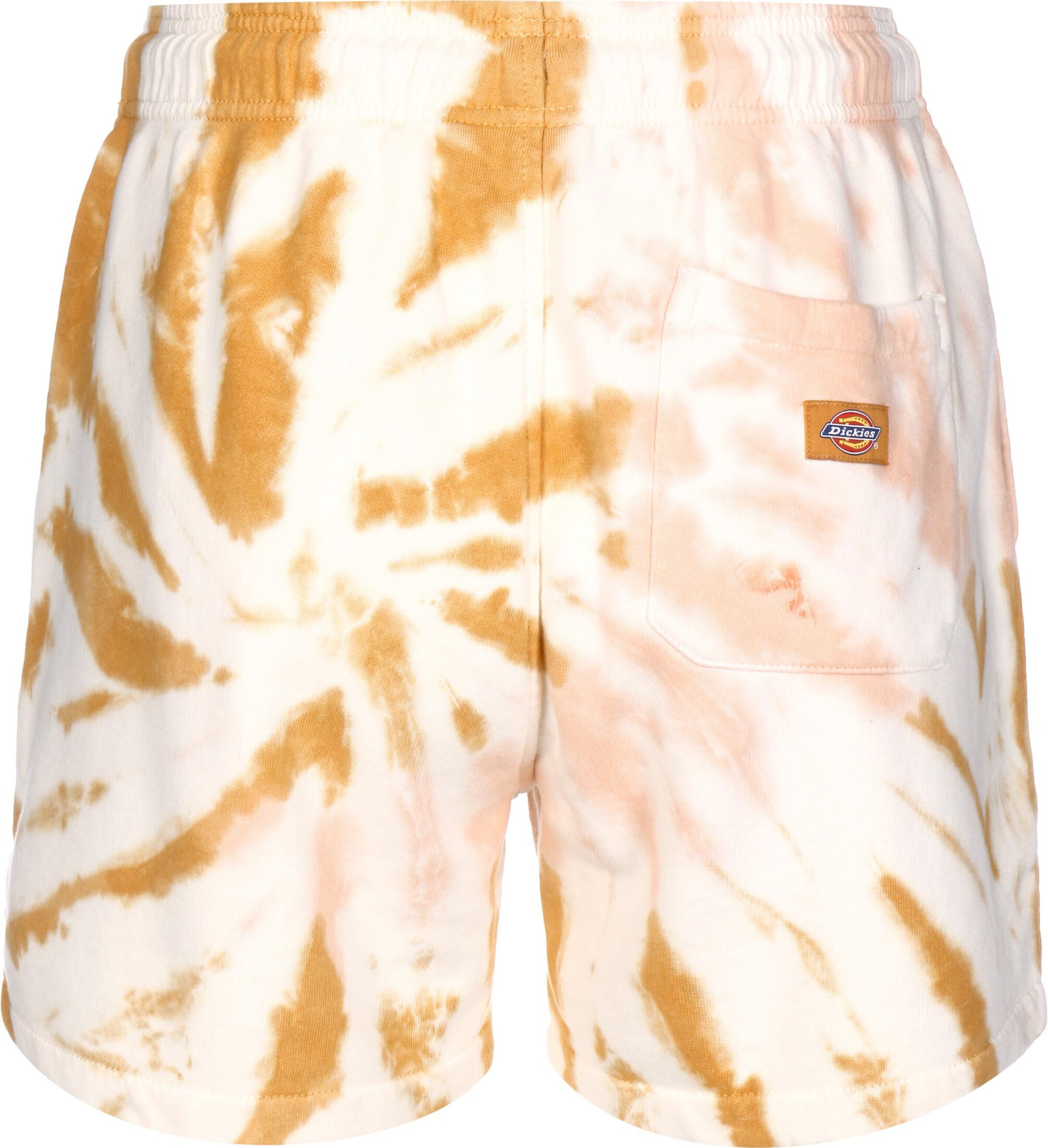 DICKIES Regular Shorts 'Seatac' in Beige
