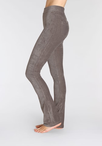 LASCANA Flared Pants in Grey