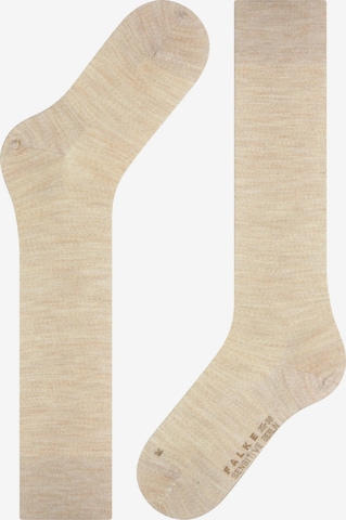 FALKE Over the Knee Socks 'Sensitive Berlin' in Beige: front