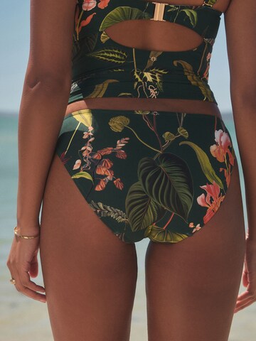 Next Низ бикини в Зеленый