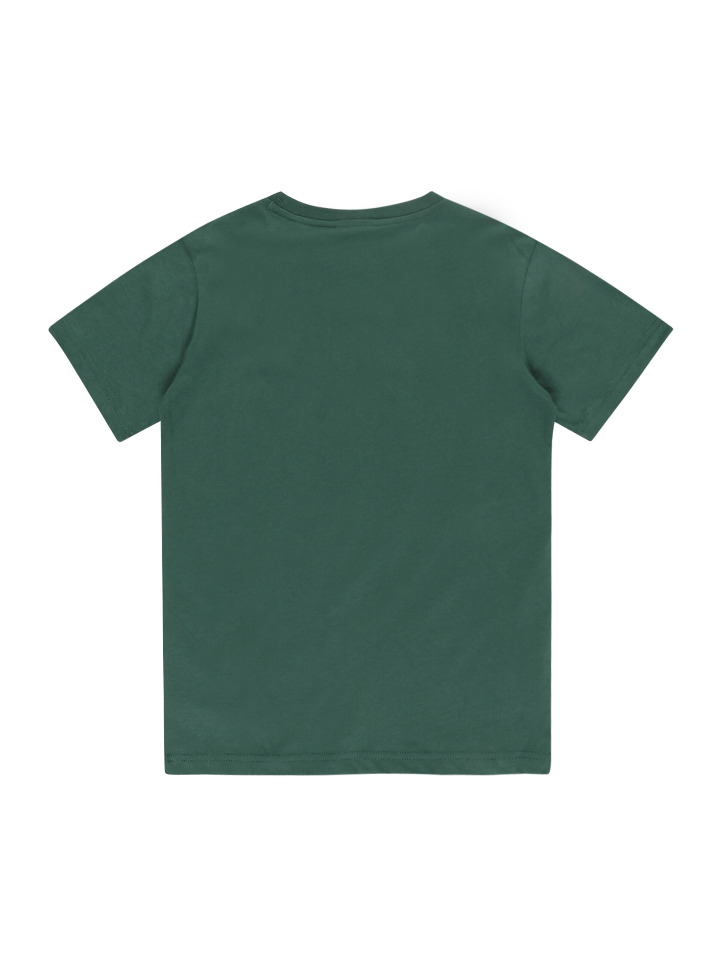 Champion Authentic Athletic Apparel Shirt in Green