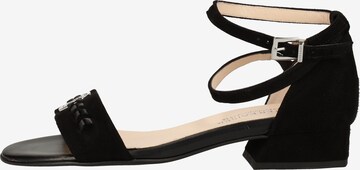 PETER KAISER Sandals in Black