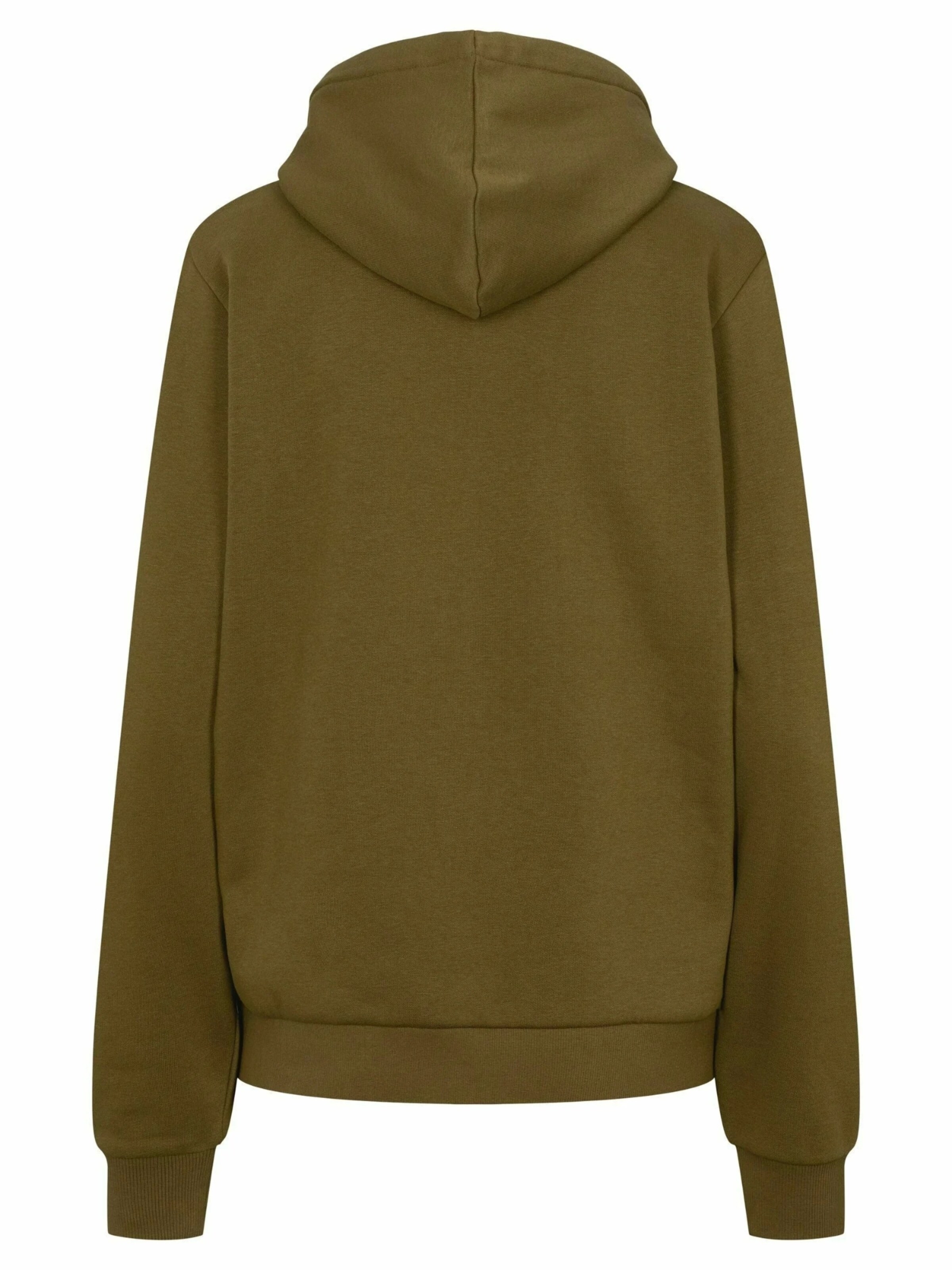 U.S. POLO ASSN. Sweatshirt ' Aba ' i grøn