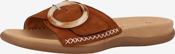 GABOR Mules in Brown: front