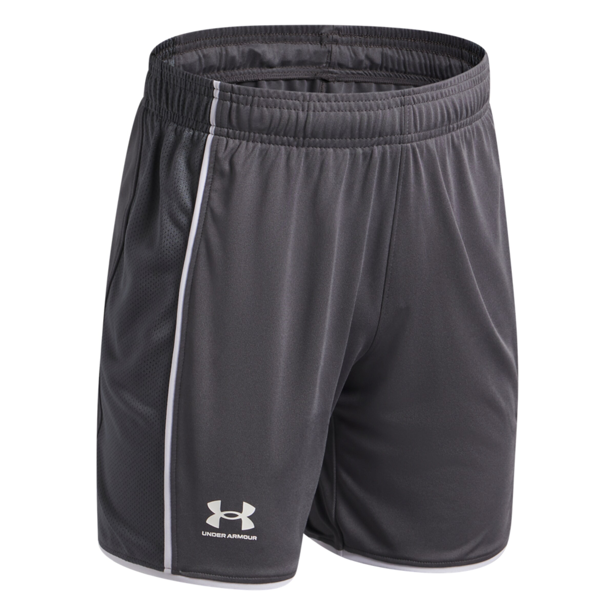 UNDER ARMOUR Regular Workout Pants in Grey