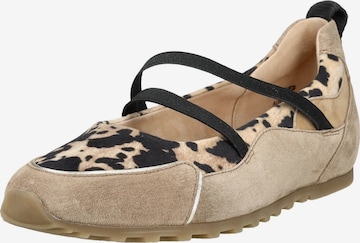 Ballerines Paul Green en marron : devant