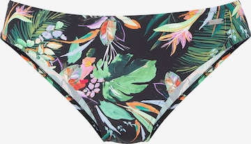 VENICE BEACH Bikinihousut värissä musta: etupuoli