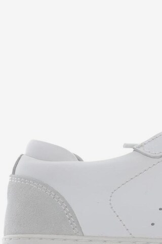 Axel Arigato Sneaker 36 in Weiß