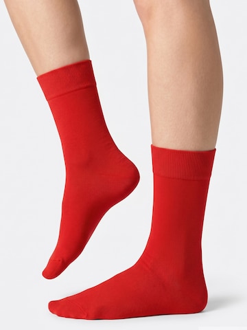 footstar Socks 'EVERYDAY!' in Red