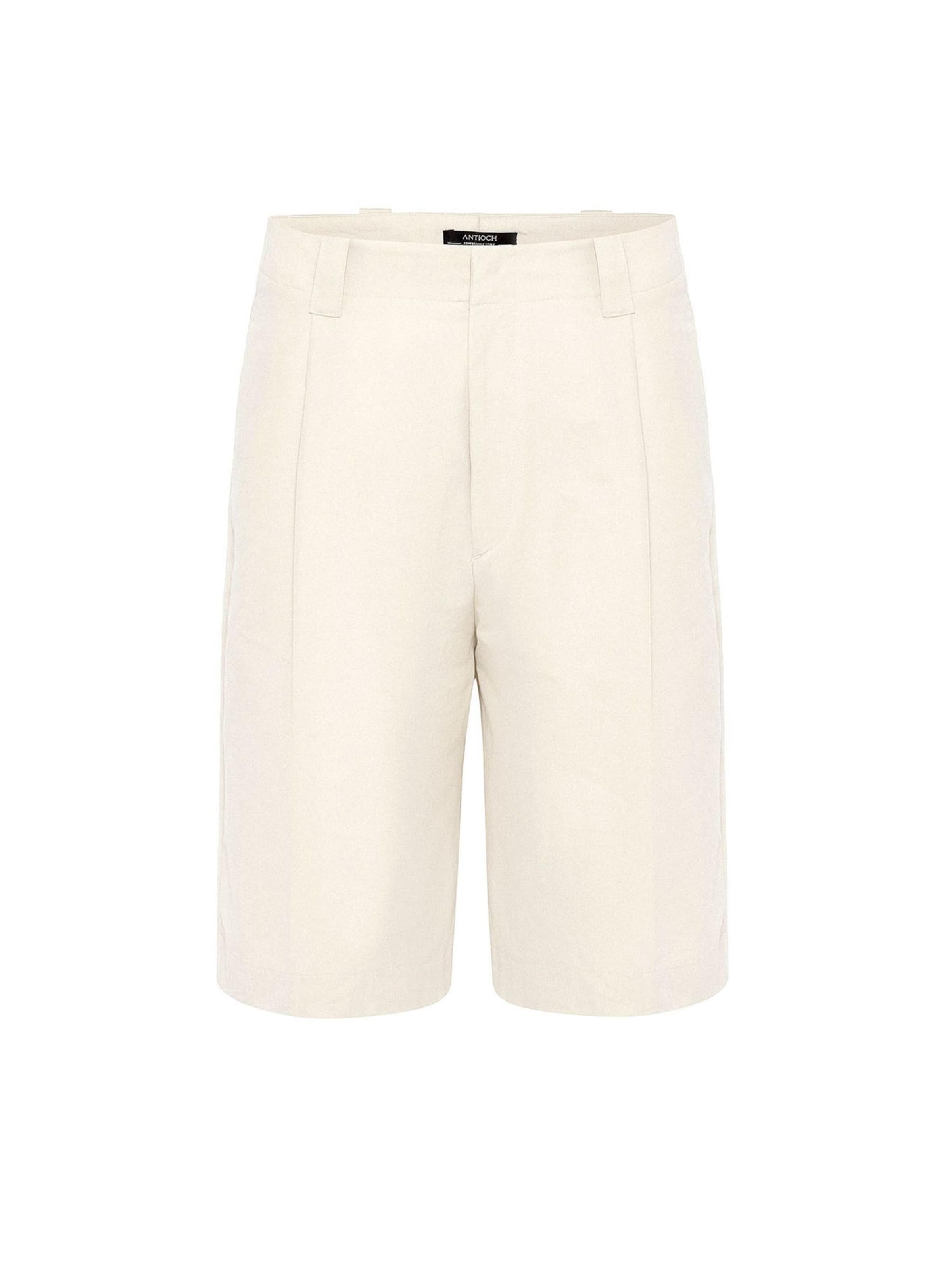 Antioch regular Παντελόνι πλισέ σε γκρι: μπροστά