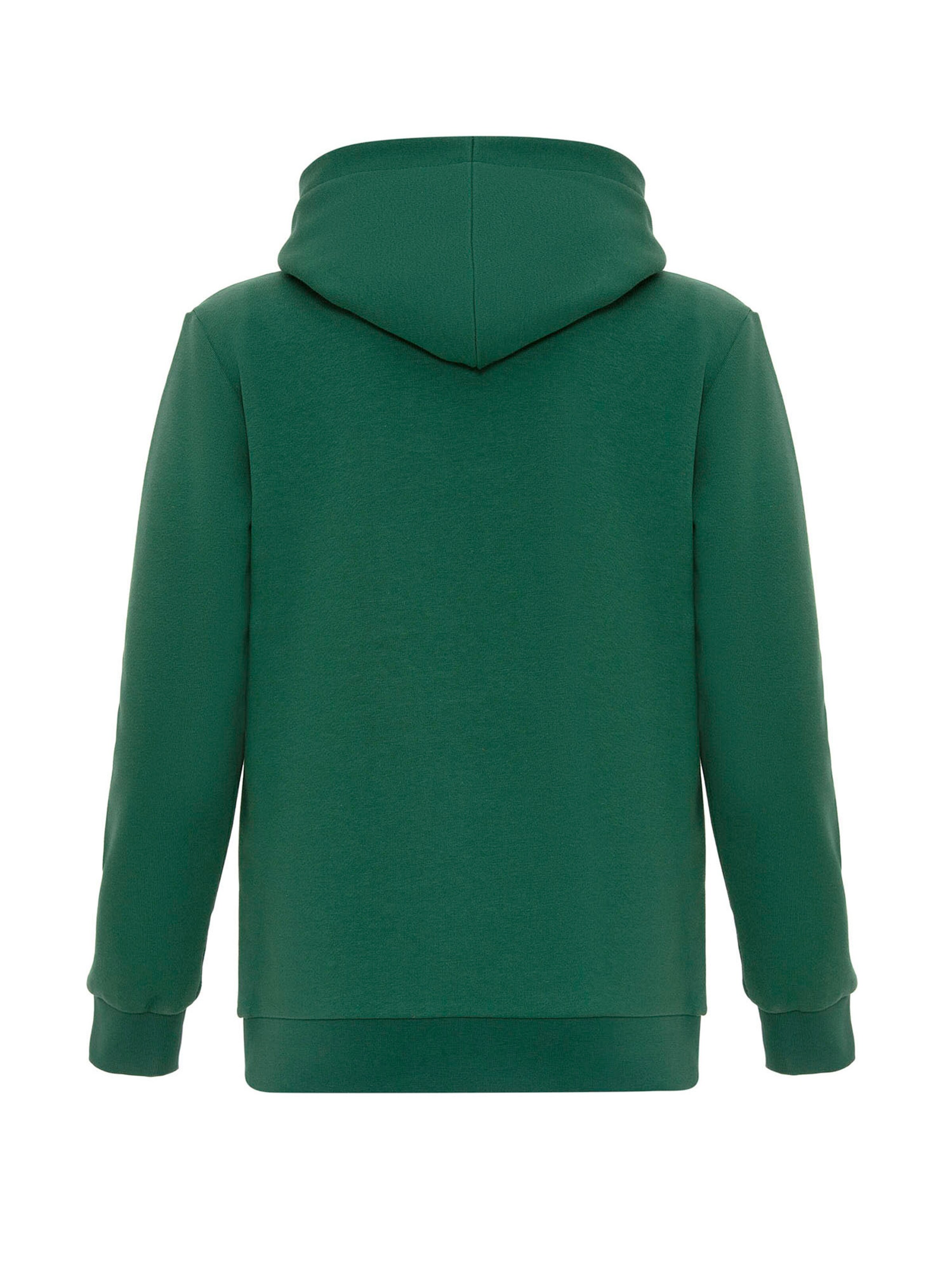 Williot Sweatshirt i grøn