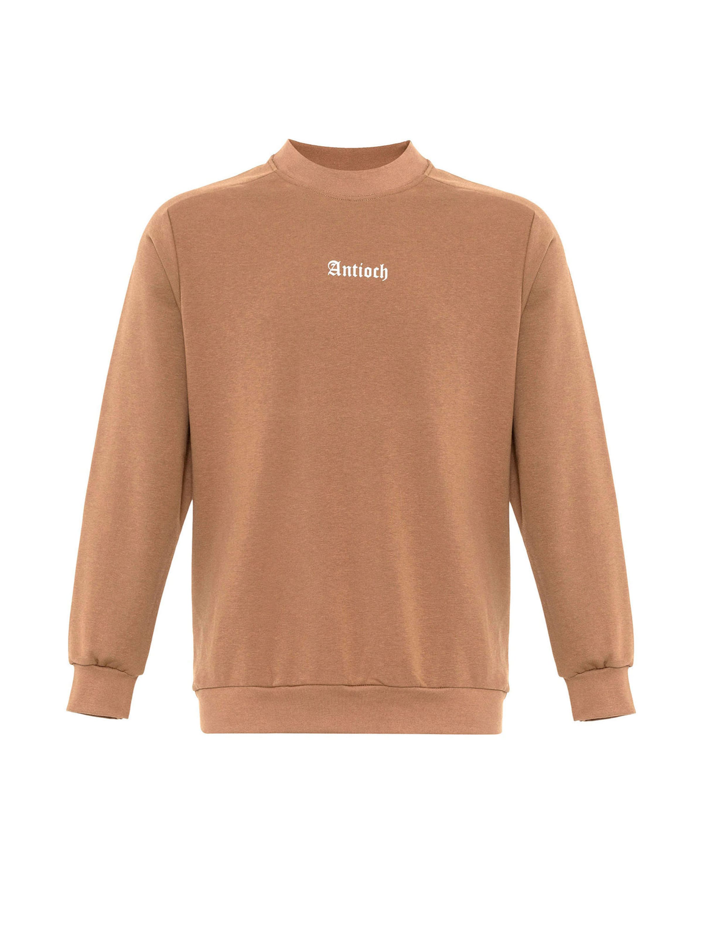 Antioch Μπλούζα φούτερ σε μπεζ: μπροστά