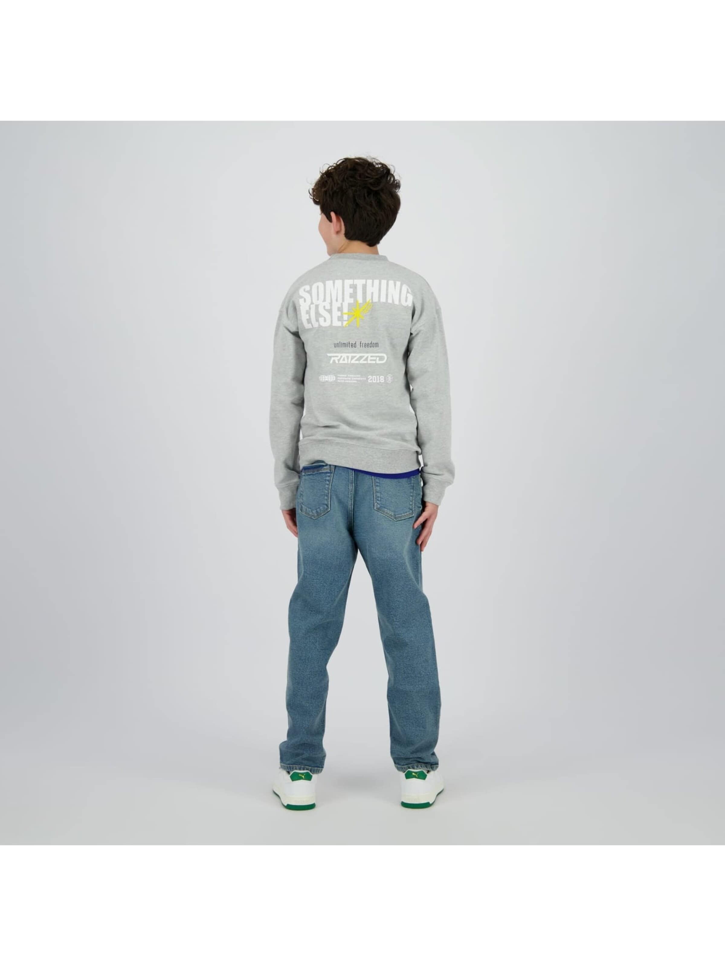 Raizzed Sweater in Grey