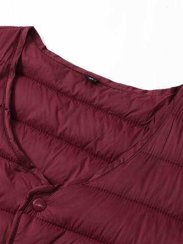 ALLTHEMEN Vest 'Stichlinie' in Red