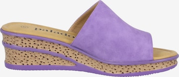Mule 'Palado Niserios' Palado en violet