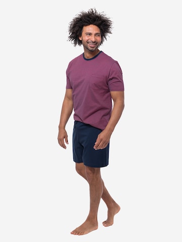 Ammann Pyjama kort 'Night & Home Cotton' in Gemengde kleuren