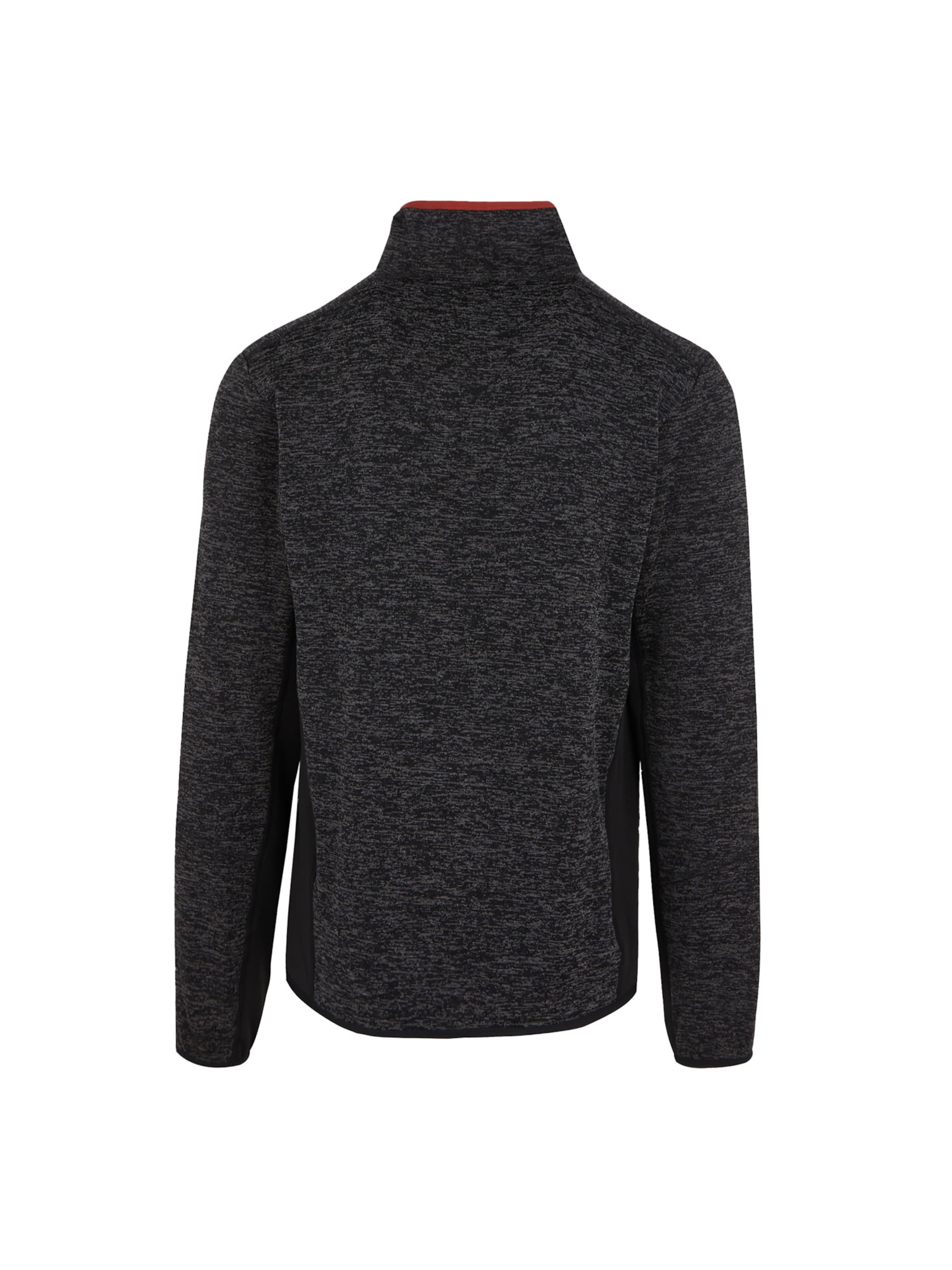 Veste en polaire 'Baslinn' REGATTA en noir