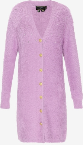 lillā faina Adīts mētelis: no priekšpuses