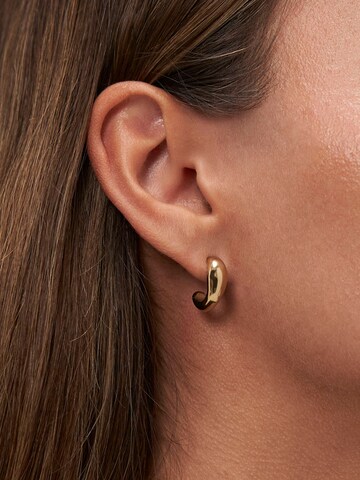 Copenhagen Studios Ohrringe in Gold