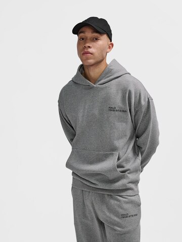 HALO Sweatshirt in Grey: front