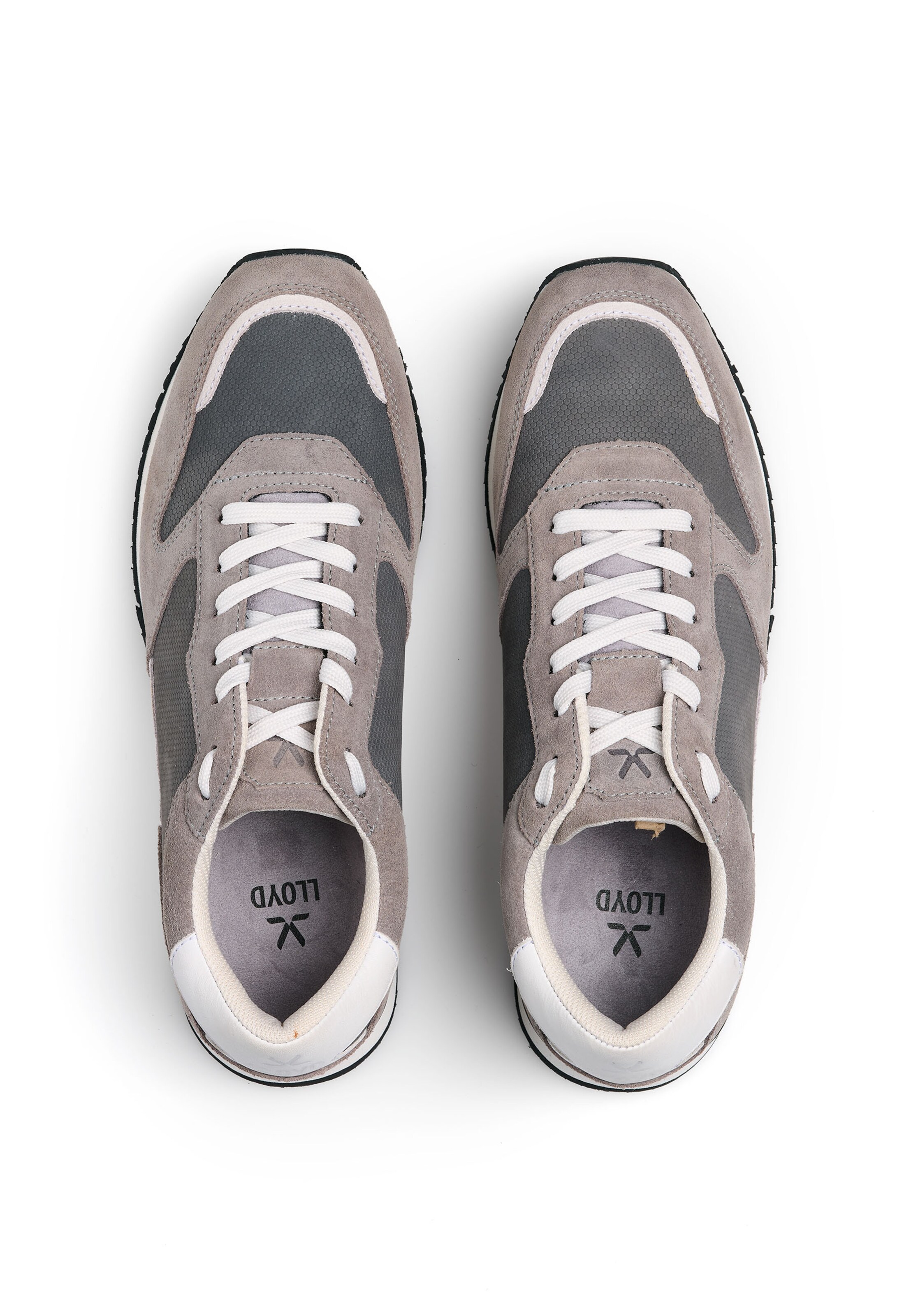 Baskets basses 'SWIFT' LLOYD en gris