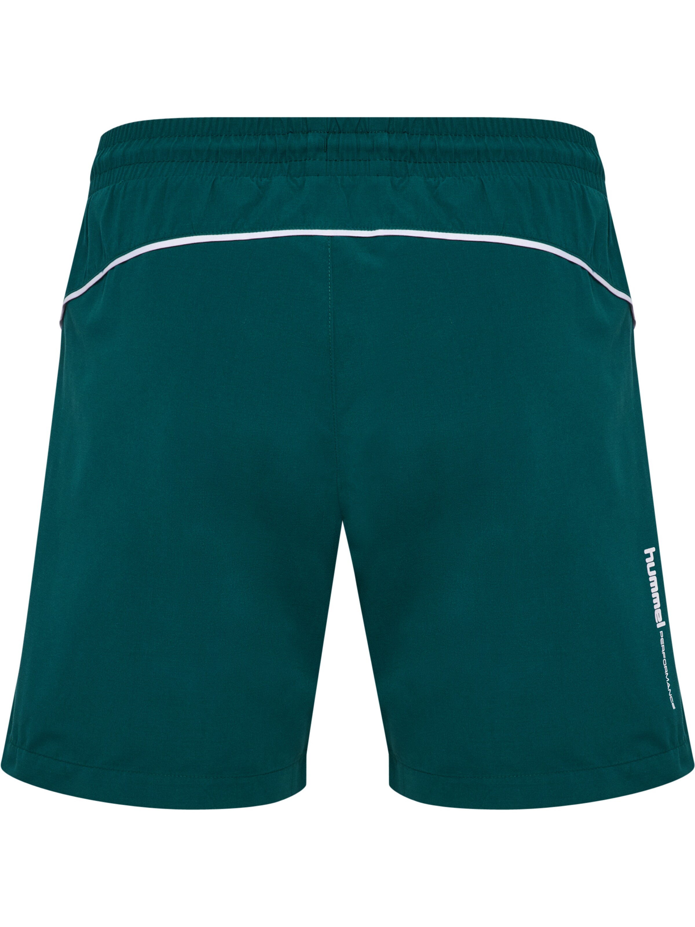 Hummel Swimming Trunks 'Pulse' in Green
