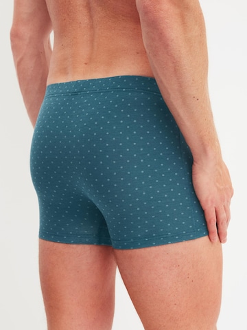 CALIDA Boxershorts 'Cotton Code Design' in Grün