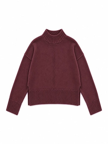 Viorna Sweatshirt 'Sweatshirts' in Purple: front