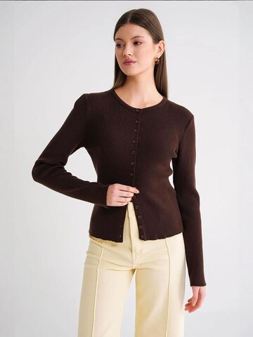 Giacchetta di MixRay in marrone