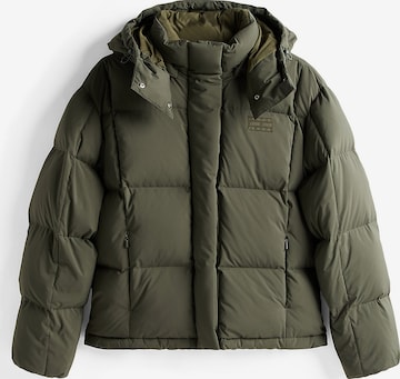 Tommy Jeans Зимняя куртка 'Alaska' в Зеленый: спереди