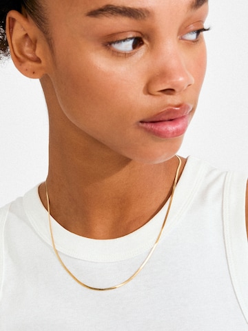 zelts Pilgrim Ķēdīte 'Nikita'