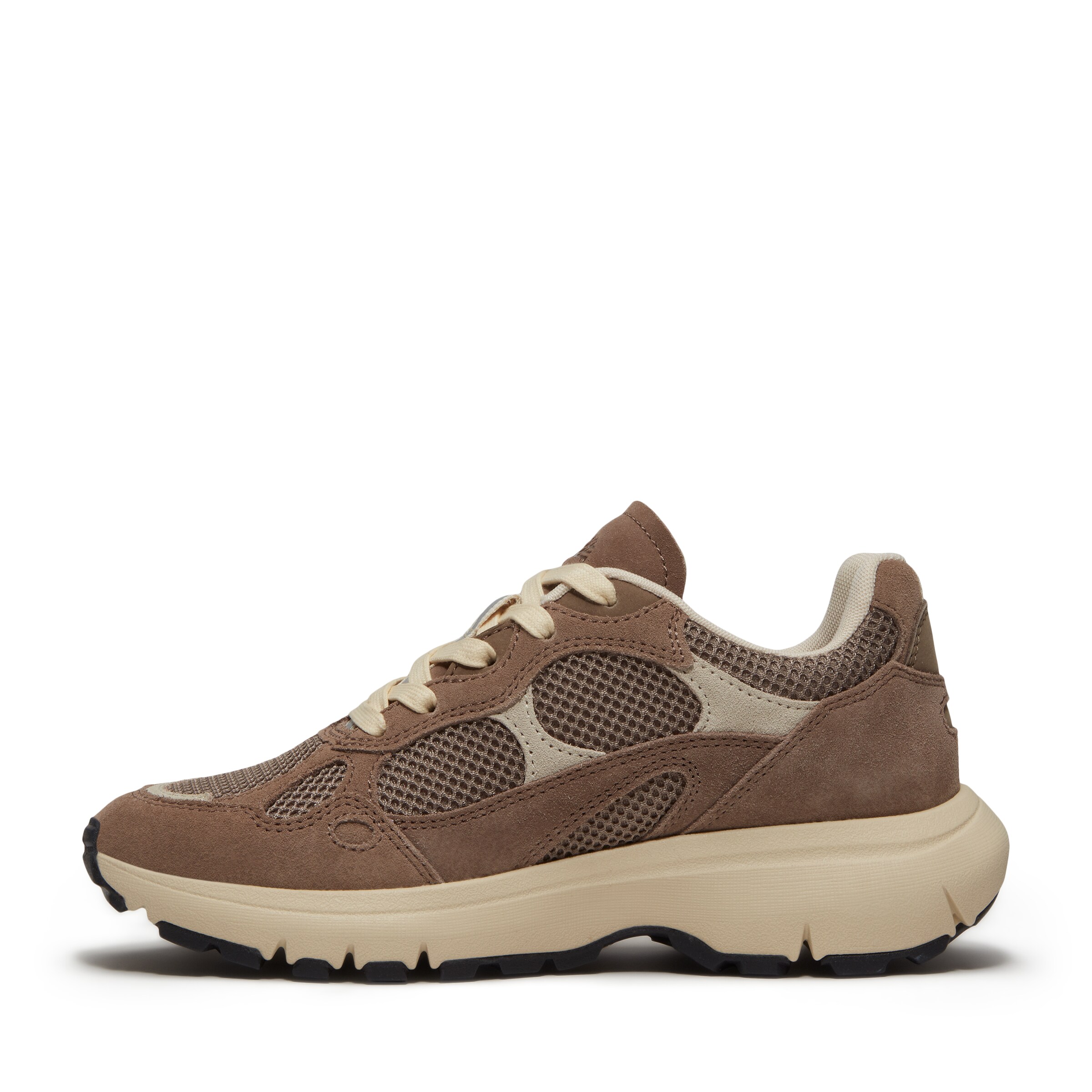 TIMBERLAND Sneaker in Braun
