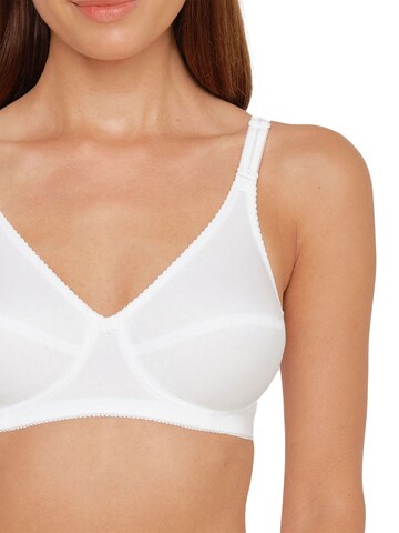 SUSA Minimiser Bra 'Cotton' in White
