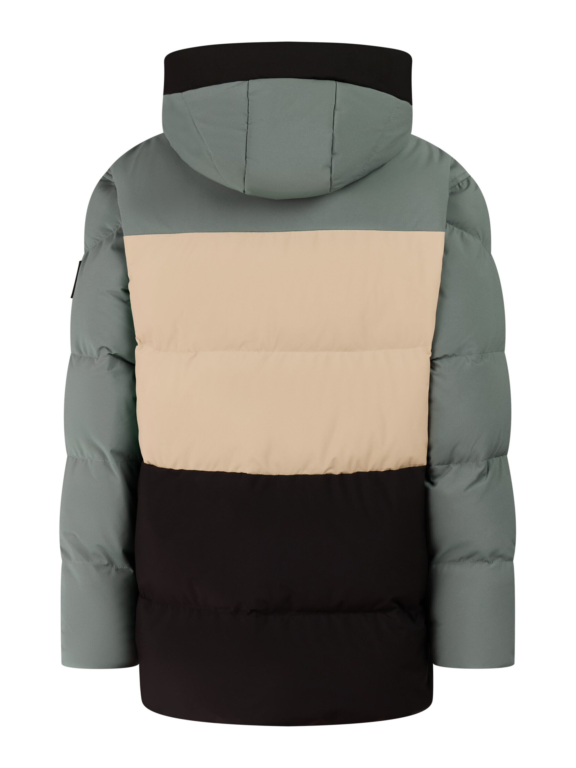 PROTEST Athletic Jacket 'PRTWolk JR' in Brown