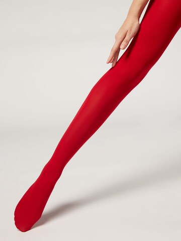 CALZEDONIA Fine Tights in Red: front