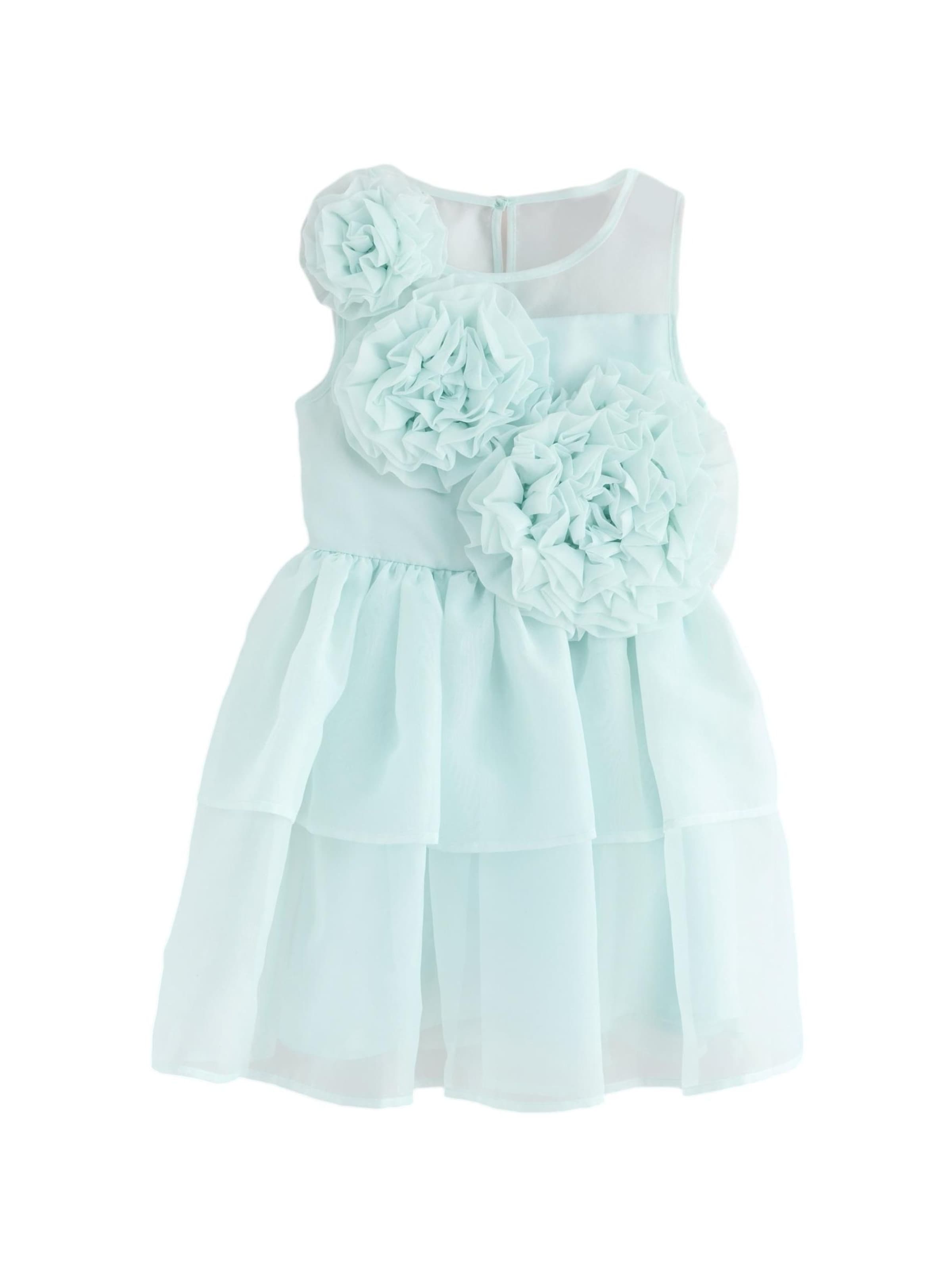 Baker by Ted Baker Kleit, värv roheline: eest vaates