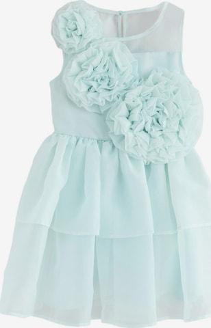 Baker by Ted Baker Mekko värissä vihreä: etupuoli